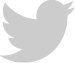 social icon